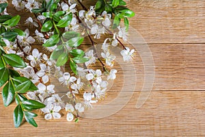 White spring blossom of fruit trees on a wooden table