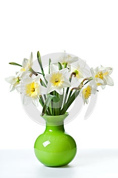White Spring Daffodil Flower Bunch