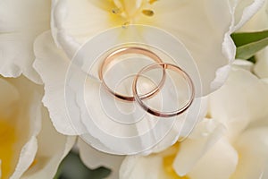 White spring flower close up view, for wedding background