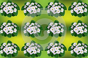 White spring flowers, green leaves on abstract background. Flat design element stock vector illustration for web, for