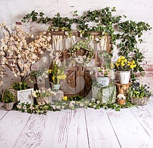 White spring sett up with colourful flowers yellow and light wood