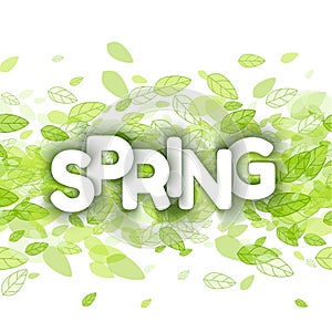 White spring sign over green leaves