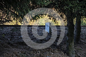 A white stallion with a number at the railway tracks in the shade of a tree