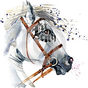 White Stallion watercolor drawing. White horse watercolor.