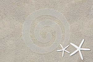 White starfish on beach sand sandy background