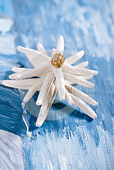 White starfish on blue painted background