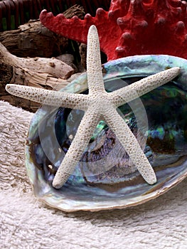 Starfish and nacre seashell photo