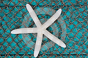 White starfish on fish net texture background