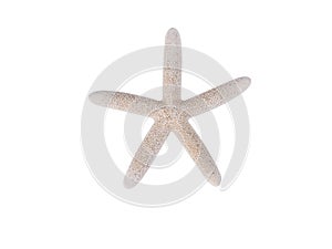 White starfish isolated on white background.