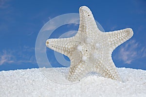 White Starfish And Sand With Blue Sky Background