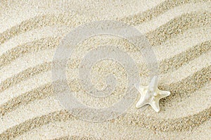 White starfish on sand texture background with wave pattern