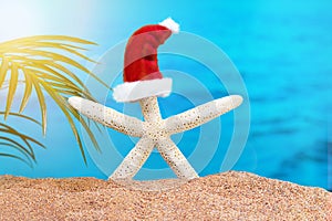 White starfish with Santa` hat on and of beach with sea and palm tree. Concept of Christmas, New Year in hot countries