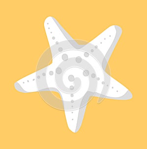 White Starfish or Sea Star Star-Shaped Echinoderm photo