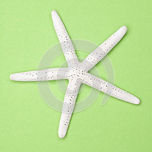White Starfish on a Vibrant Green Background.