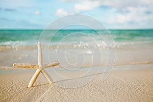 White starfish on white sand beach, with ocean sky and seascape