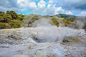 White steam is coming out of a hole at Wai-O-Tapu Thermal Wonderland near Rotorua, North Island, New Zealand