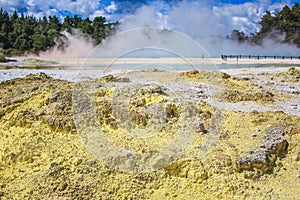 White steam is always present at Wai-O-Tapu Thermal Wonderland near Rotorua, North Island, New Zealand