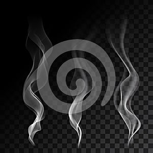 Light cigarette smoke waves on transparent background vector illustration