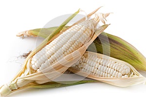 White sticky corn
