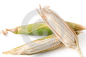 White sticky corn isolated