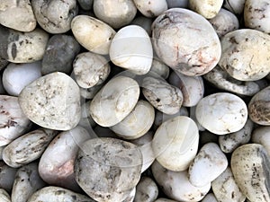 White stone background of the beach rocks