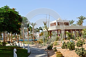 A white stone building with columns in Mexican Latin style against the background of exotic tropical green cactus plants
