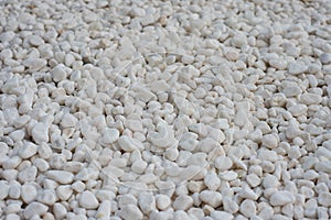 White stone floor in the garden, white stone background, texture decor