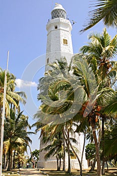 White stone lighthouse on a stony-sandy beach among green palms.