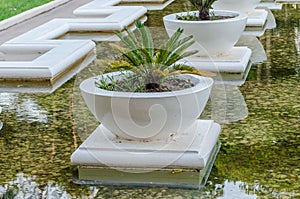 White Stone Palm Trees Pots in a Pool Formed by a Fountain. Beautiful Garden with Luxury Decoration in Greece