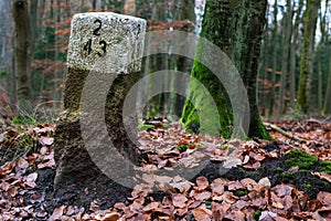 White stone pillar with markings for foresters. Landmark in the woods