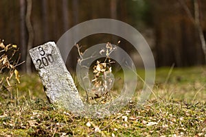 White stone pillar with markings for foresters. Landmark in the woods