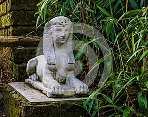 White stone sphinx statue in a garden, traditional egyptian decorations