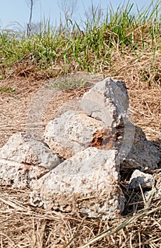White stones with dry grass on the ground
