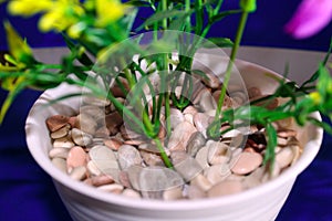 White stones in the pot