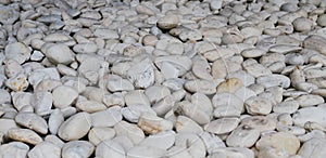 White stones texture