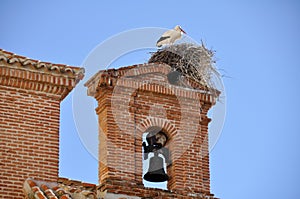 White stork on a belfry, Alcala de Henares, Madrid (Spain) photo