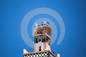 White stork bird nest on mosque tower, Morocco, Africa