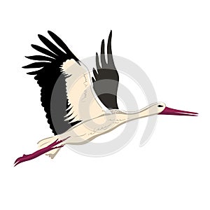 White stork flying up wings. A white stork sketch style