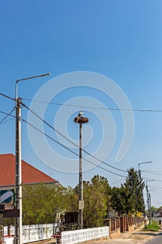 White stork in nest on lamp post along the village road near houses