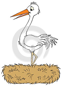 White stork (vector clip-art)