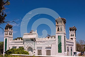 White storks build great owl make her home on towers, Morocco