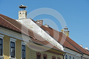 White storks (Ciconia ciconia) at the nest on a chimney