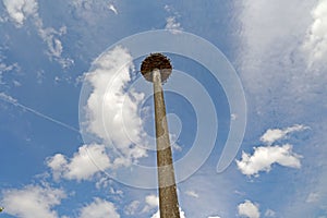 White storks nest on a pillar in the city