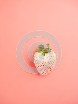 white strawberry, pineberry or fragaria ananassa, isolated on pink background.