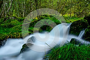 White stream, NP Folgefonna, Norway