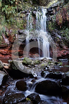 White stream of water flows over a wet, overgrown stone face