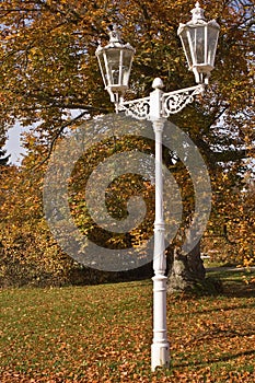White street lamp in park.