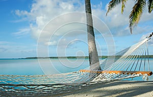 White string hammock strung between coconut palms on idyllic tropical island beach