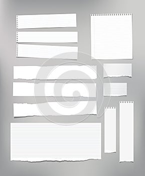 White striped note paper, copybook, notebook sheet stuck on light gray background.
