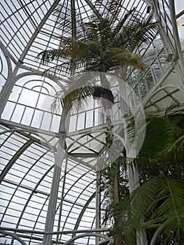 White structure of a botanical garden in a park in Curitiba